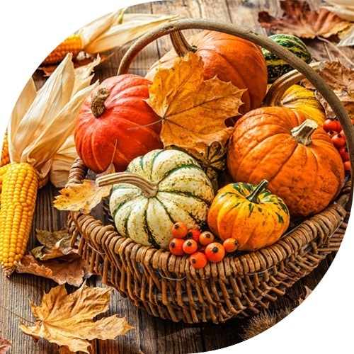 Kürbis im Weidenkorb